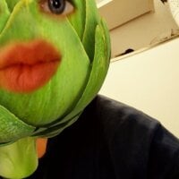 27SKLuder webcam