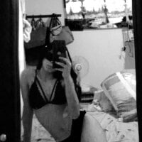 غرفة دردشة BushyQuiz دون اتصال