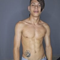 Sirryant webcam model
