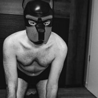theanimal666 webcam