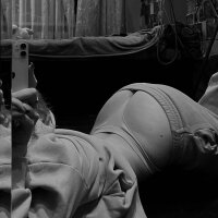 Alice-Monroe's Profile Photo