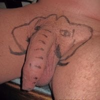 bertinek's Profile Pic