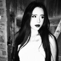 AriXo_ webcam model
