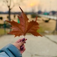 boldice_69: изображение аватарки