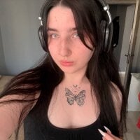 KatrinHub webcam model