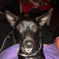 Аватар Hard6841