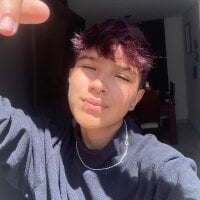 sirio_js webcam model