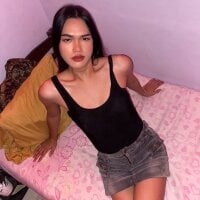 Bigtransss webcam