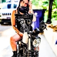 kattvondd: офлайн-чат