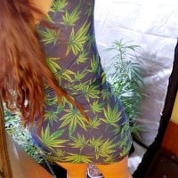 XXfeline1984 Chat Room offline