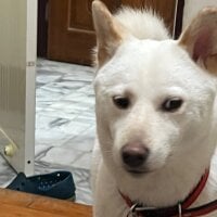 kmim0156's Avatar Pic