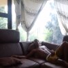 Bilik Sembang Luar Talian veinydick2314
