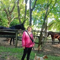 wLESLYMOSw's Profile Photo