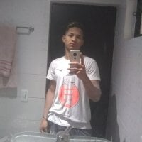 Falco_Oro