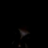 slinsu webcam
