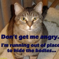 rhunt4422's Avatar Pic