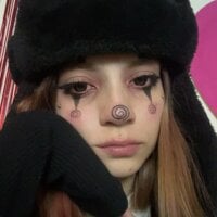 HORNET_ webcam model