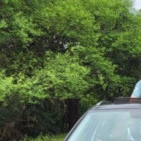 itachigunn Avatarbild