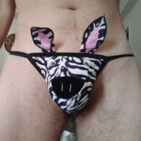 HappyZebra13 webcam model