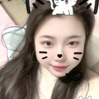 Rabbit-6