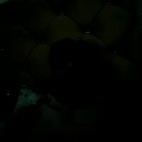 yp968211 webcam