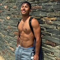 denissteel