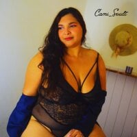 Model Cami_Soult