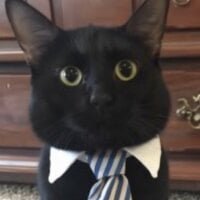 LoveRodrigez's Avatar Pic