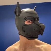 FrenchCamDog's Avatar Pic