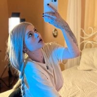 ShelbyTruck webcam model