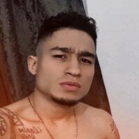 lokarius3 webcam model