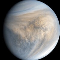 sbc_tiny_penis Immagine Avatar