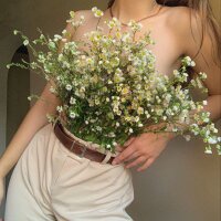 rita_boom: офлайн-чат