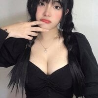 Lanbe11 webcam model