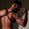 Kael_Bronte