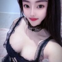 CDR2025-4 webcam model