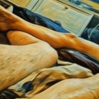 bigcockwetpussymn
