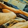 bigcockwetpussymn