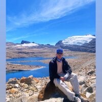 Модель Stiven_collins