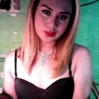 godescock webcam model
