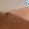 follaor30's Offline XXX Chat