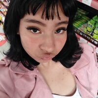 FresaAnix webcam model