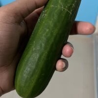Komal_4857