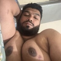 VishVixen webcam