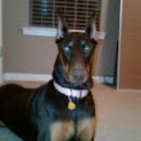 Blueice420's Avatar Pic