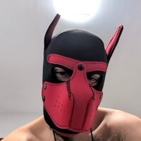 DogSonX