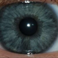 غرفة دردشة ThatShyGuy دون اتصال