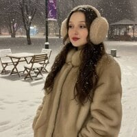 Модель FalineBeacher