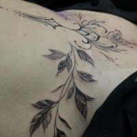 Samaracuper офлайн чат стая