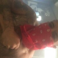 pussypunisher420 Offline Chatraum